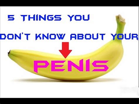 8 Things You Didnt Know About Your Penis